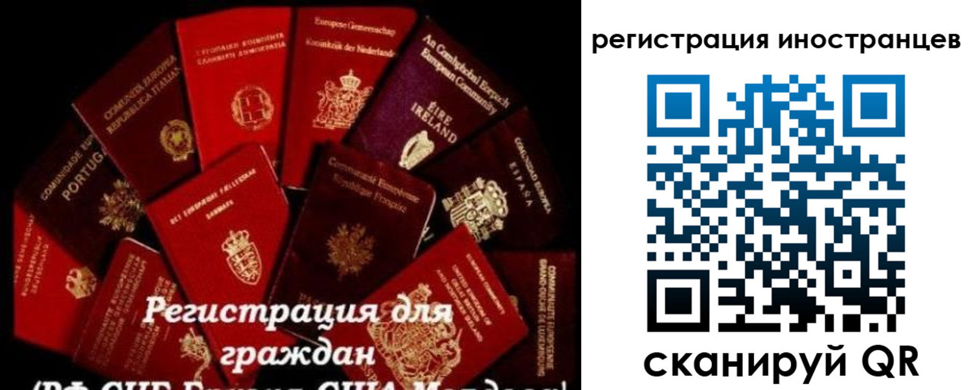 прописка иностранных граждан в Сольцах